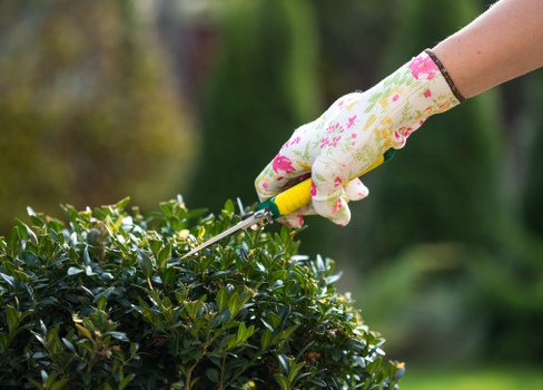 Landscaping in Hanwell with a stylish garden design