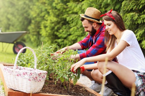 Gardeners Hanwell introducing local garden care services