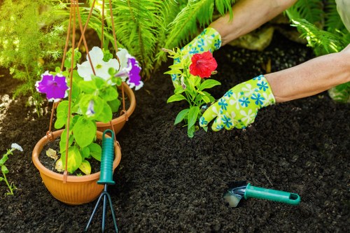Landscape gardening in Hanwell with stylish patio and planting