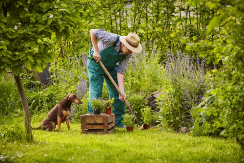 Professional decking services in Hanwell for a stylish garden transformation