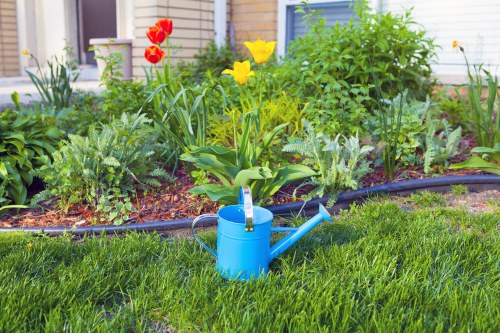 Professional gardening services in Hanwell for tidy residential outdoor spaces