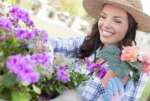 Complaints procedure overview for gardening services