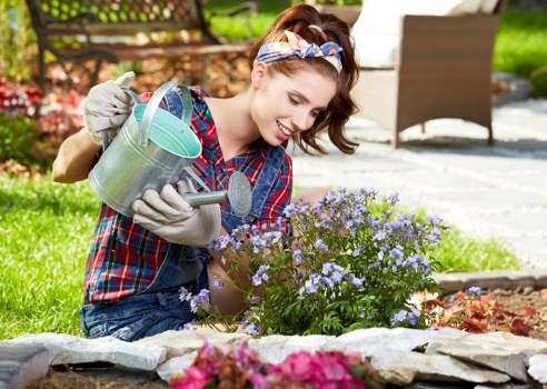 Healthy green lawn care in Hanwell with neatly maintained grass