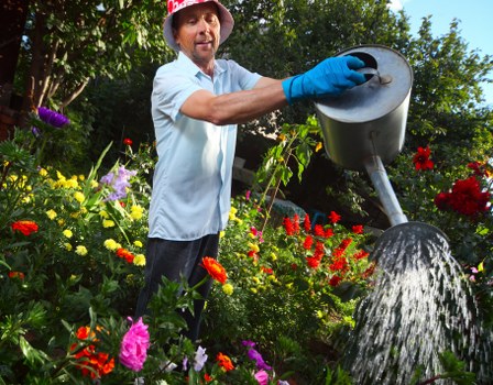 Transparent pricing for Gardeners Hanwell near busy local streets
