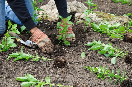 Reliable garden services payment checkout with encryption and secure handling