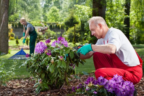 Gardeners Hanwell creating a tidy and attractive garden space