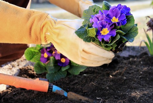 Thoughtful garden planning for a Hanwell outdoor space