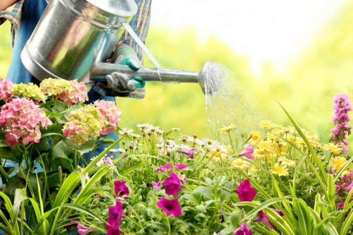 Professional lawn maintenance in Hanwell for a tidy residential garden