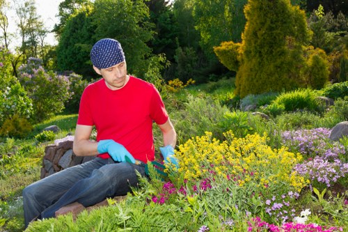 Well-maintained hedge trimming in Hanwell with clean garden lines