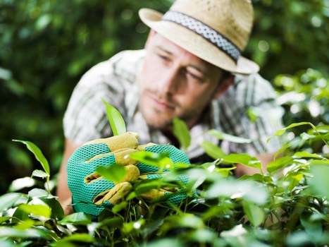 Booking process and customer responsibilities for garden services