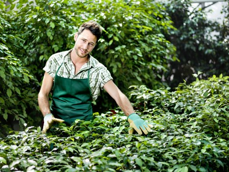 Summary of cookie categories for Gardeners Hanwell