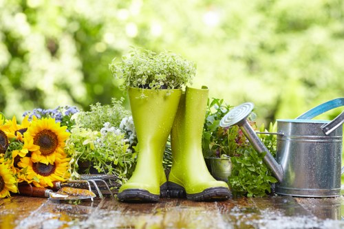Professional garden clearance in Hanwell removing green waste and debris