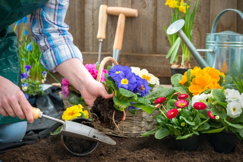 Seasonal lawn care in Hanwell with fresh green turf