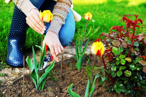 Seasonal garden maintenance by gardeners in Hanwell