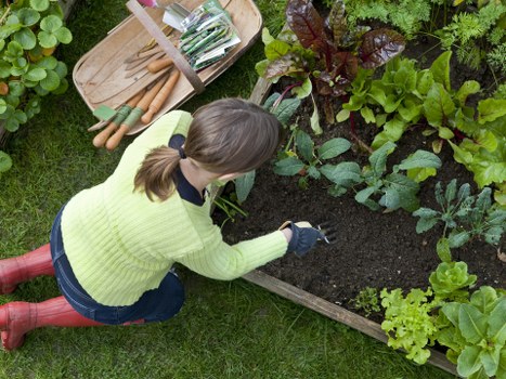 SSL-protected Gardeners Hanwell payment process for safe online transactions