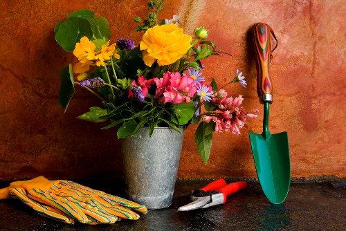 Free quote policy for garden services in Hanwell