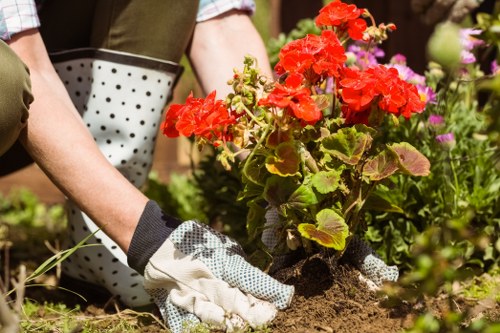 Screen-reader friendly Hanwell gardening information presented clearly