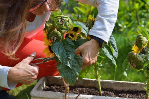 Gardening services in Hanwell improving kerb appeal and property value