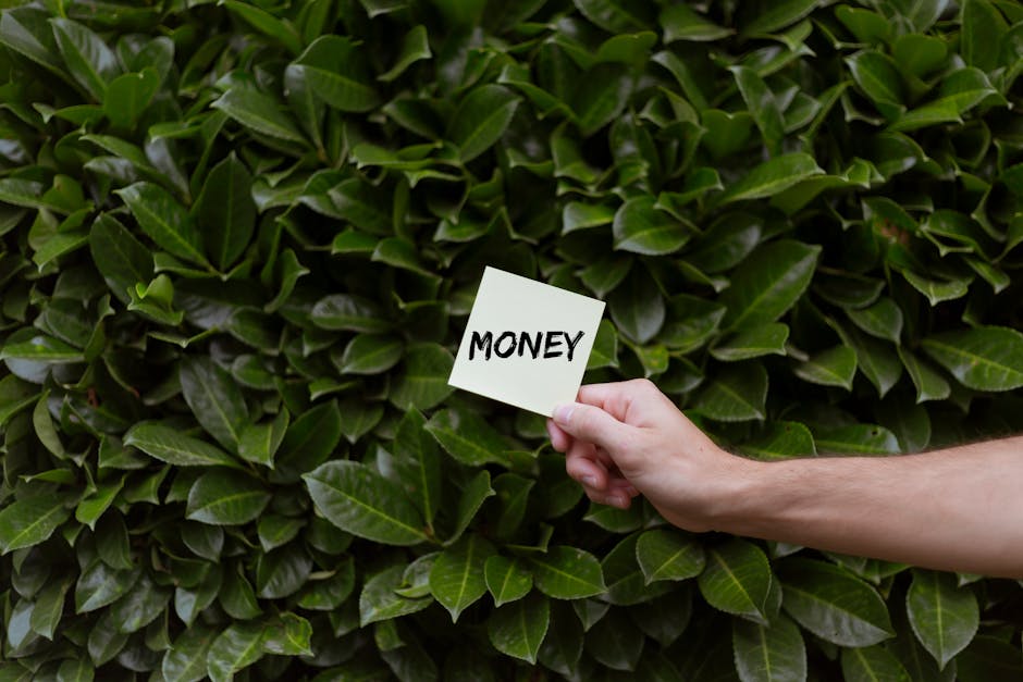 A hand holding a small square white sign with the word 'MONEY' written in bold black letters, positioned against dense, glossy green hedge leaves. The hedge consists of numerous oval-shaped leaves wit